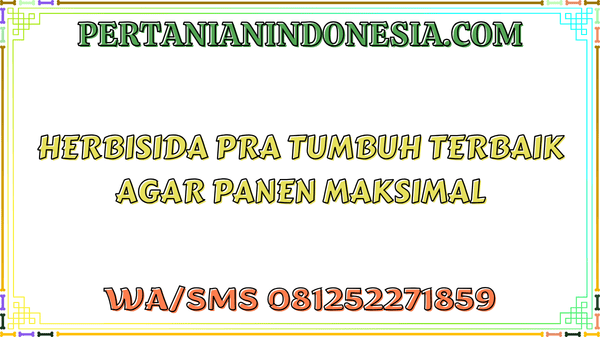 Herbisida Pra Tumbuh Terbaik Agar Panen Maksimal